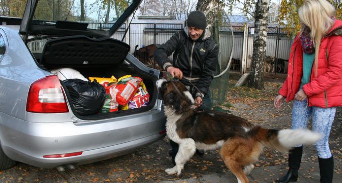 Pomagają nie tylko ludziom