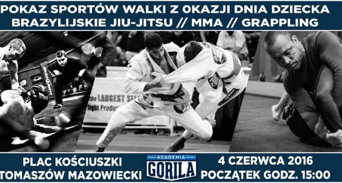 Pokaz sztuk walki w centrum Tomaszowa