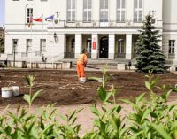 Więcej zieleni i ławek w centrum Tomaszowa