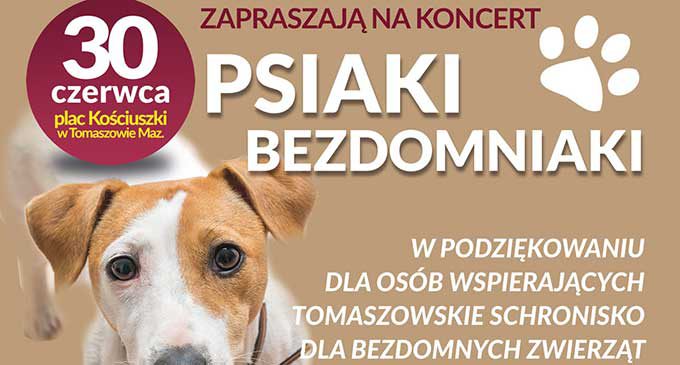 „Psiaki bezdomniaki”. Festyn i koncert na pl. Kościuszki