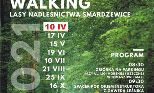 Rajdy „Patyczaków” – czyli spacery z kijkami