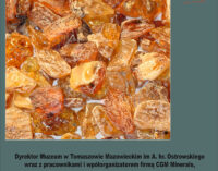 Muzeum zaprasza na wystawę minerałów