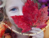 Fun Kids czyli nowe zajęci dla dzieci w MCK-u